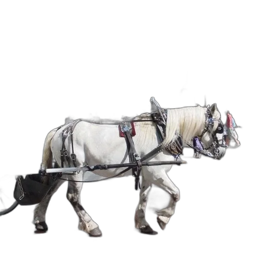 animal, staff, robot, weapon transparent PNG cut-out
