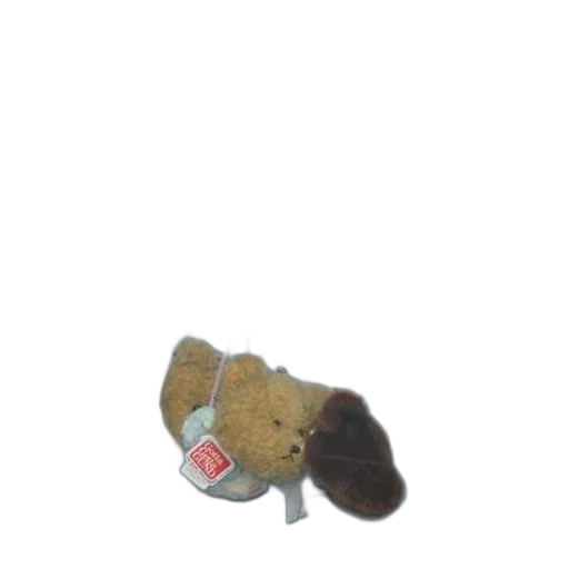 hat, jacket, animal, staff transparent PNG cut-out