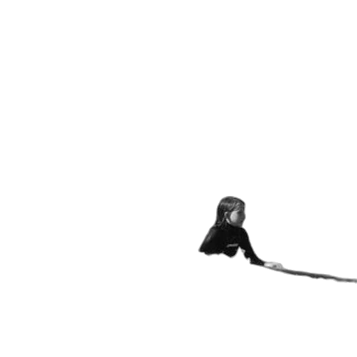 animal, staff, creature, hair transparent PNG cut-out