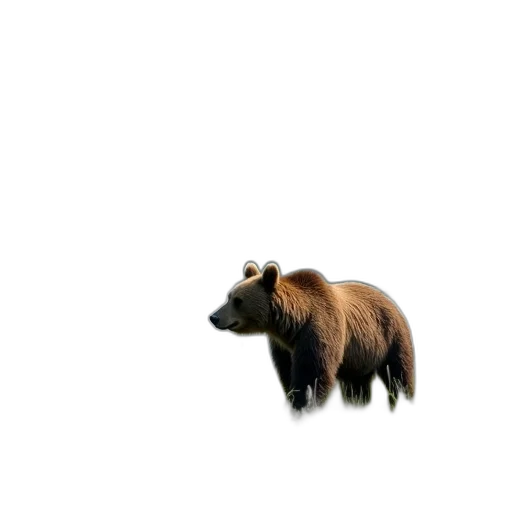 animal, creature, hair, staff transparent PNG cut-out