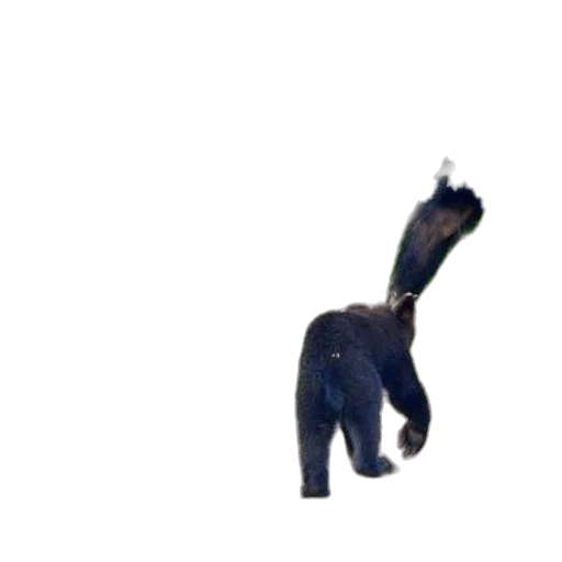 animal, creature, staff, dragon transparent PNG cut-out