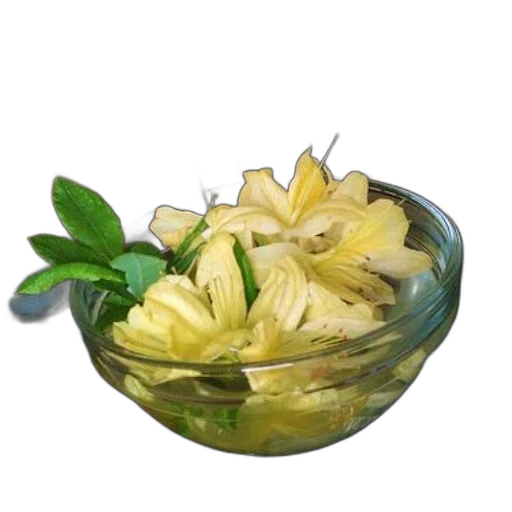 food, crown, flower, jewelry transparent PNG cut-out