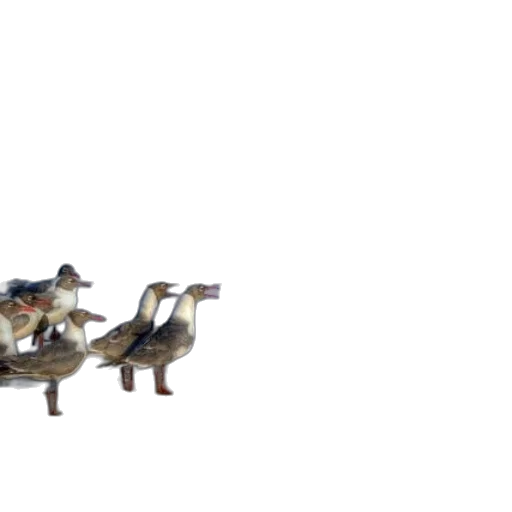 animal, furniture, 3d render, concept art transparent PNG cut-out