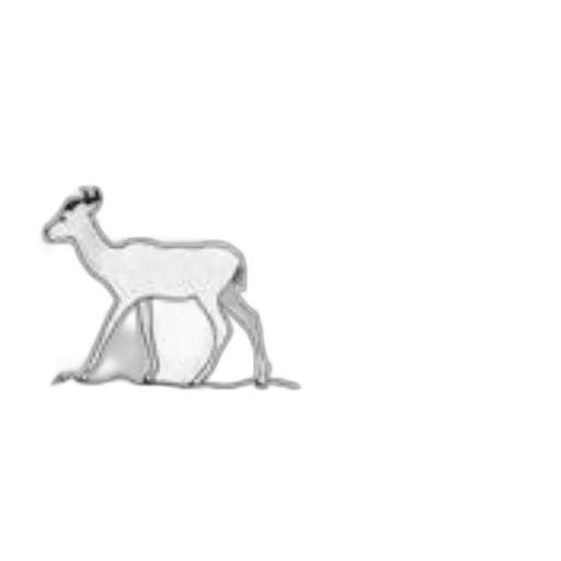 animal, creature, furniture, dragon transparent PNG cut-out