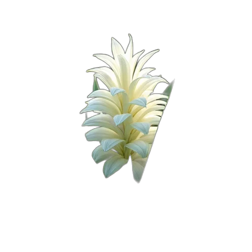 flower, crown, tree, hair transparent PNG cut-out