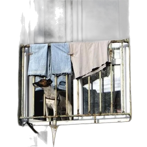 umbrella, animal, robot, furniture transparent PNG cut-out