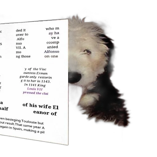 animal, creature, dog, white transparent PNG cut-out