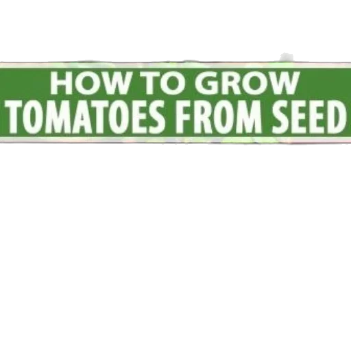 learn, how, grow, tomatoes transparent PNG cut-out
