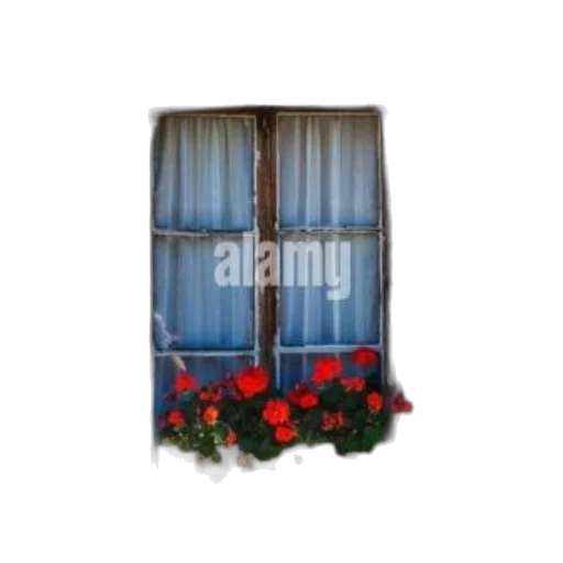 furniture, building, flower, umbrella transparent PNG cut-out
