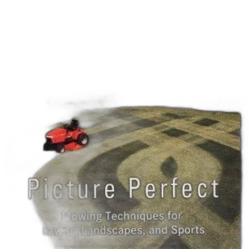 car, furniture, hat, creature transparent PNG cut-out