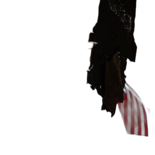 staff, jacket, weapon, dress transparent PNG cut-out