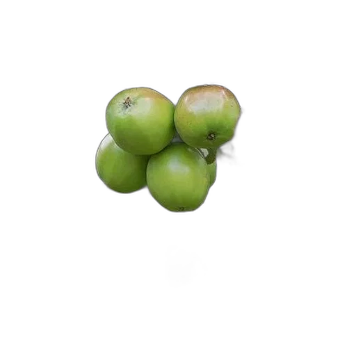 food, crown, tree, jewelry transparent PNG cut-out