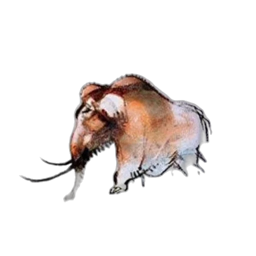 animal, hair, creature, dragon transparent PNG cut-out