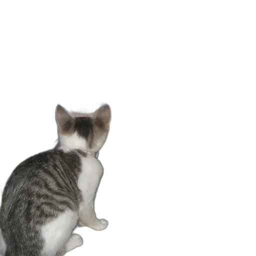 animal, creature, staff, robot transparent PNG cut-out