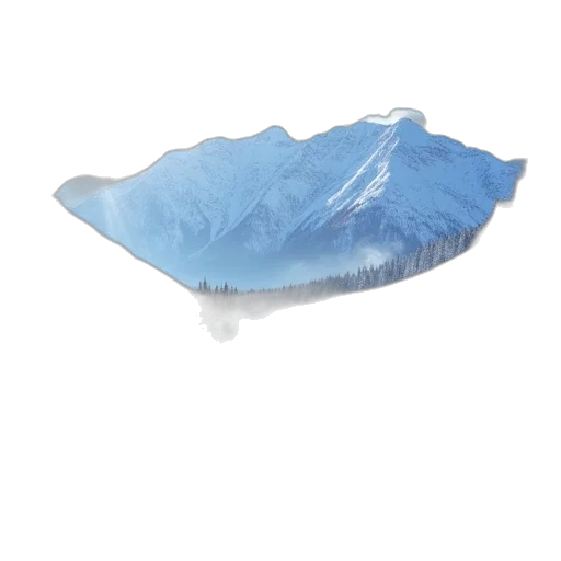 hat, hair, bottle, crown transparent PNG cut-out