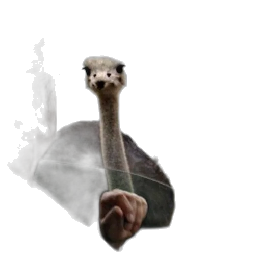 animal, creature, dragon, staff transparent PNG cut-out