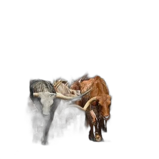 animal, furniture, staff, weapon transparent PNG cut-out