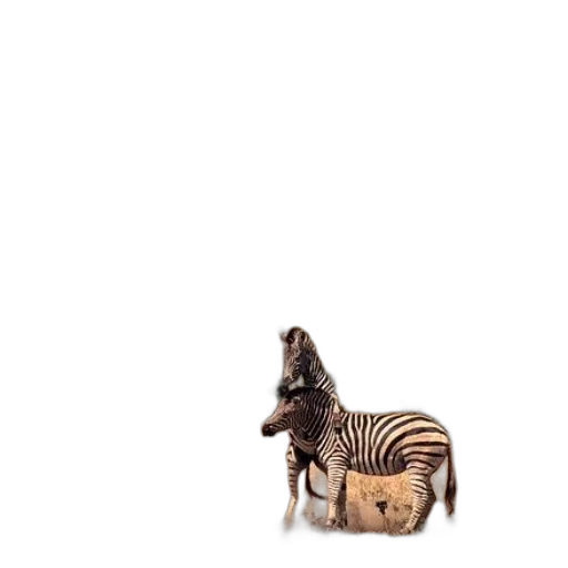 animal, creature, furniture, food transparent PNG cut-out