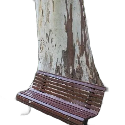 furniture, tree, dress, staff transparent PNG cut-out