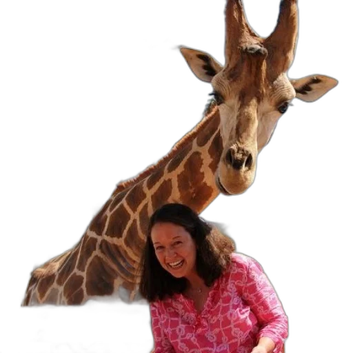 animal, creature, staff, photorealistic transparent PNG cut-out