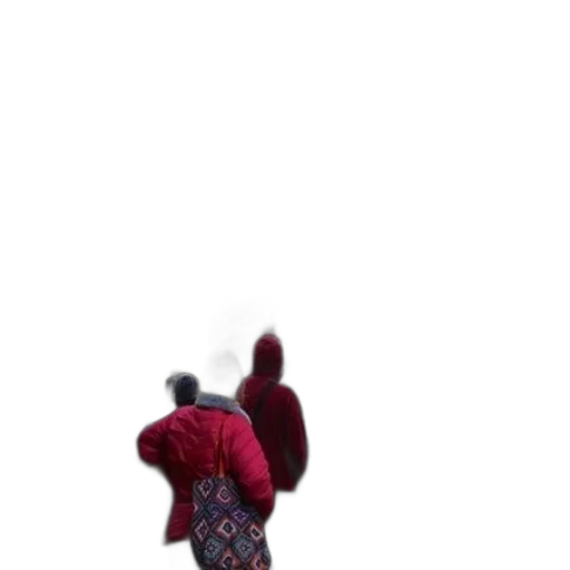 dress, dragon, jacket, creature transparent PNG cut-out