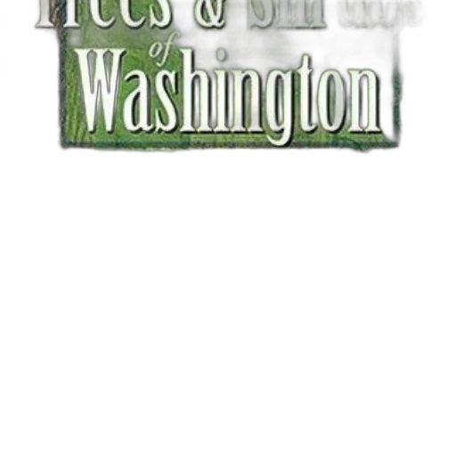 book, cover, titled, trees transparent PNG cut-out
