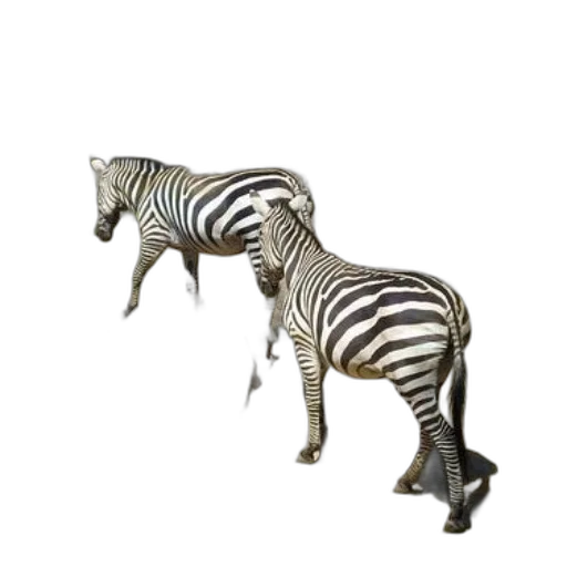 animal, furniture, creature, jewelry transparent PNG cut-out