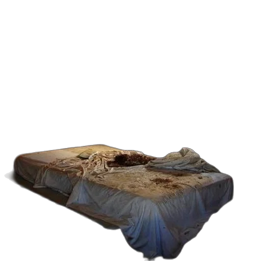 furniture, shoes, hair, food transparent PNG cut-out