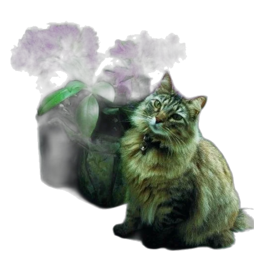 animal, creature, photorealistic, concept art transparent PNG cut-out