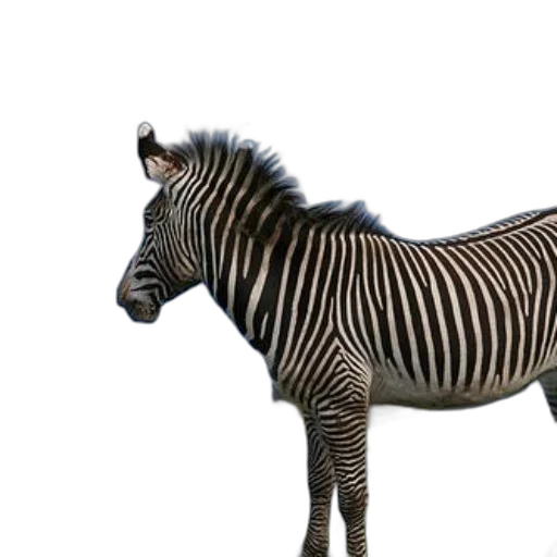 animal, creature, jewelry, staff transparent PNG cut-out