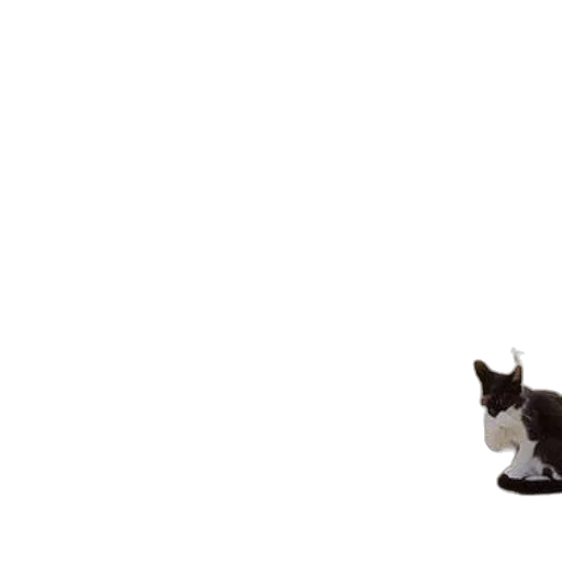 animal, staff, creature, robot transparent PNG cut-out