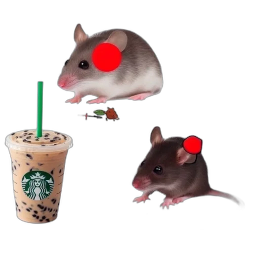 animal, food, creature, hat transparent PNG cut-out