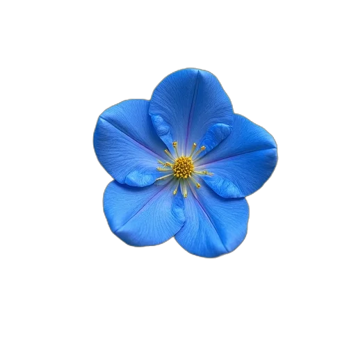 flower, crown, jewelry, staff transparent PNG cut-out