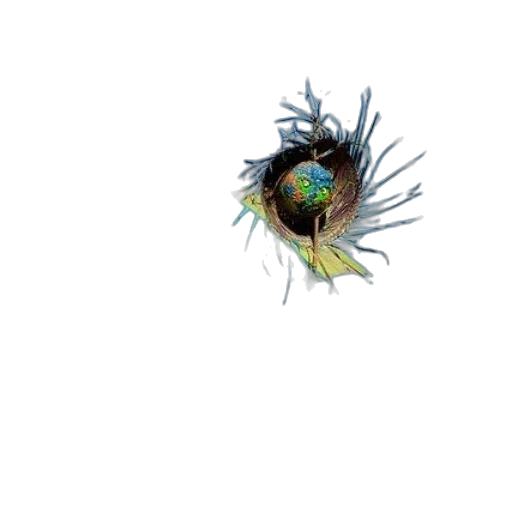 hair, flower, crown, creature transparent PNG cut-out