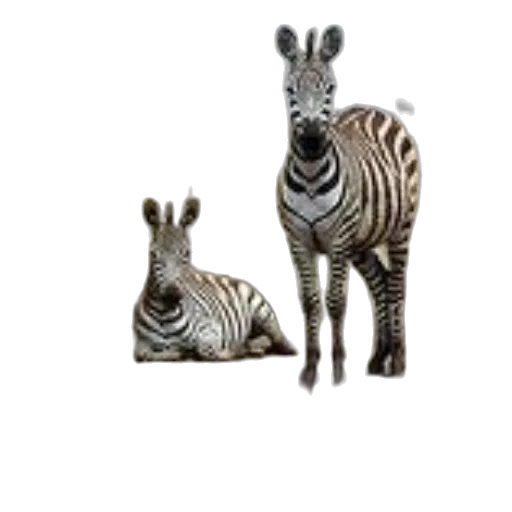 animal, creature, 3d render, photorealistic transparent PNG cut-out