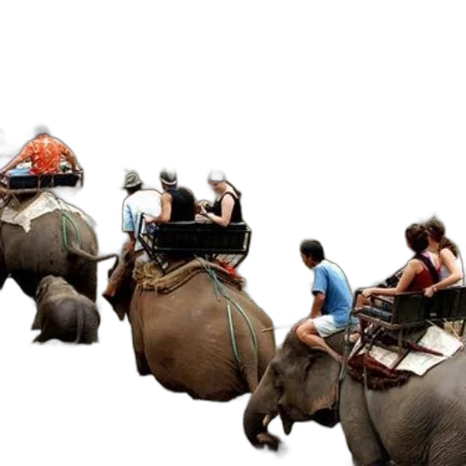 concept art, photorealistic, people, riding transparent PNG cut-out