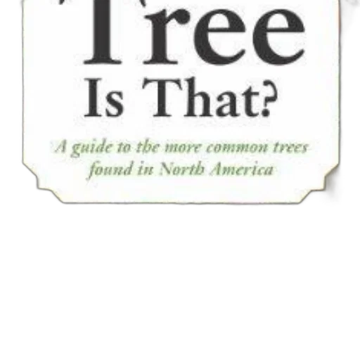 tree, guide, common, trees transparent PNG cut-out