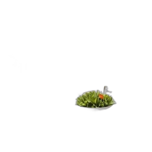food, flower, crown, hat transparent PNG cut-out