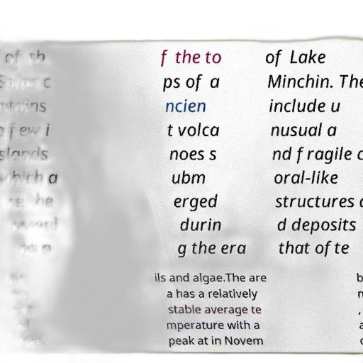 poster, text, about, salar transparent PNG cut-out