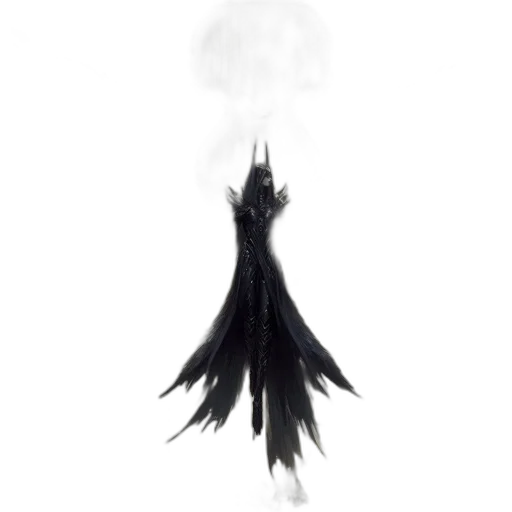 dress, hair, crown, mask transparent PNG cut-out