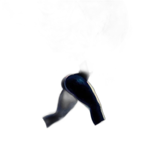 shoes, staff, hat, mask transparent PNG cut-out