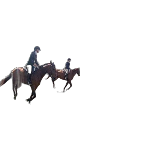 animal, hat, staff, creature transparent PNG cut-out