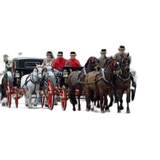 staff, car, group, people transparent PNG cut-out
