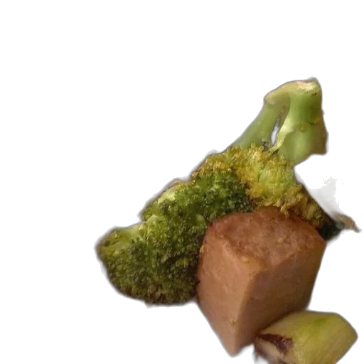 food, dragon, crown, animal transparent PNG cut-out