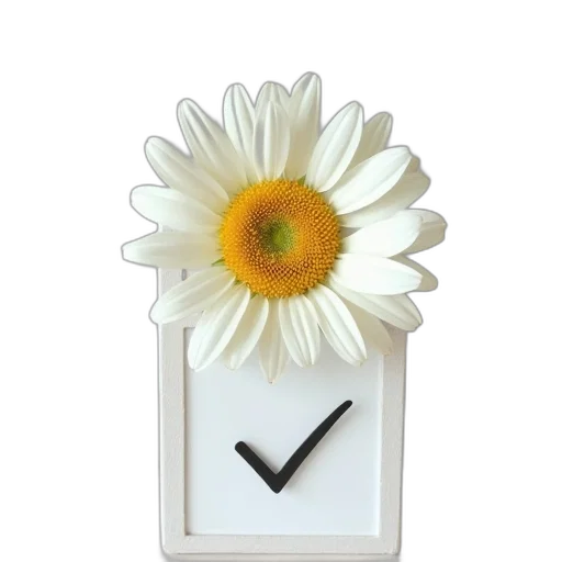 flower, staff, jewelry, furniture transparent PNG cut-out