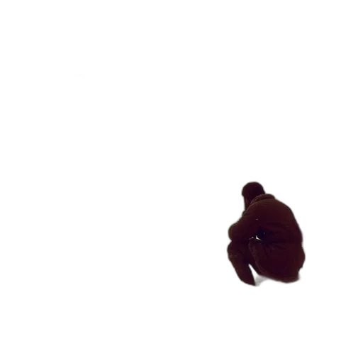animal, creature, hair, face transparent PNG cut-out