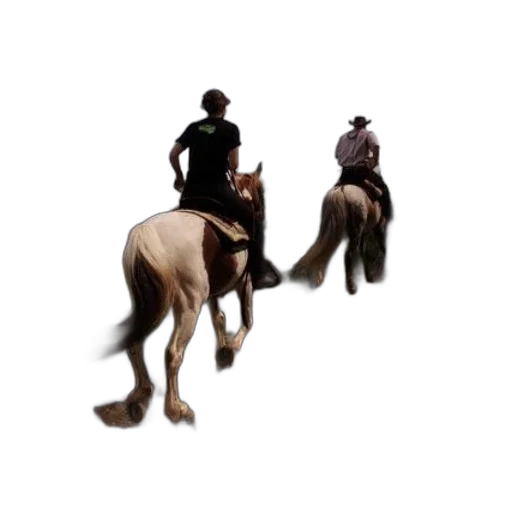 animal, staff, hat, 3d render transparent PNG cut-out