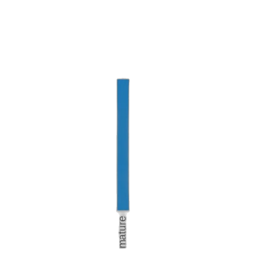 sword, staff, weapon, umbrella transparent PNG cut-out