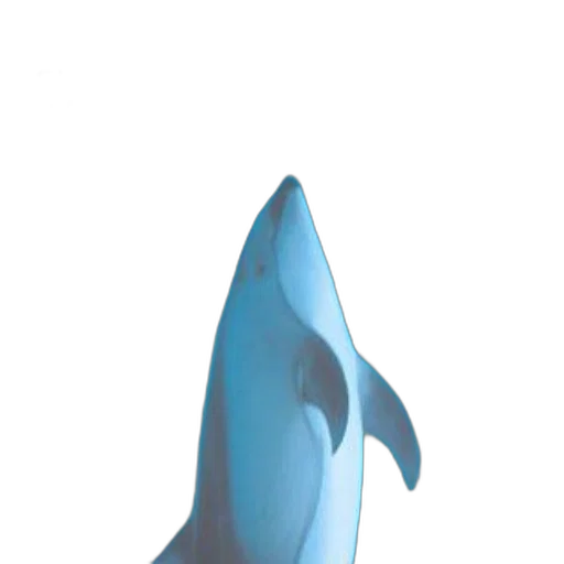 animal, creature, staff, mask transparent PNG cut-out