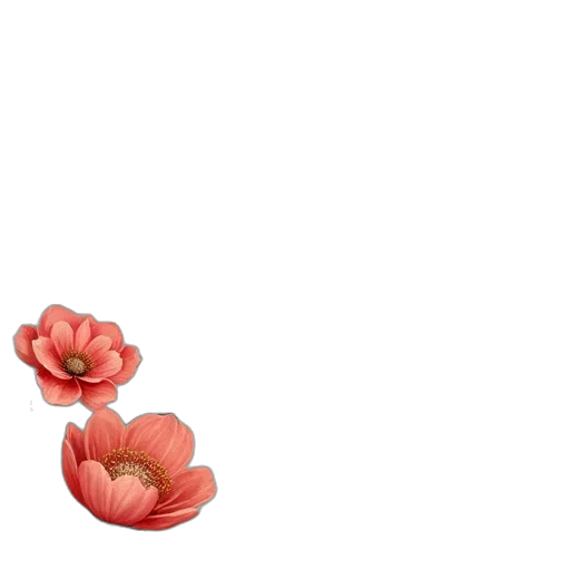 flower, jewelry, crown, furniture transparent PNG cut-out